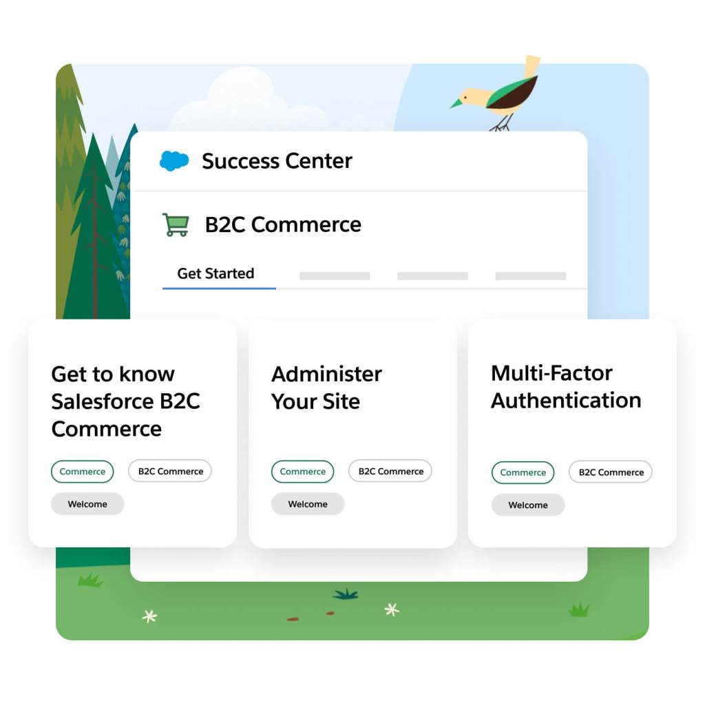 Desktop screen showing the Salesforce Success Center with developer resources.