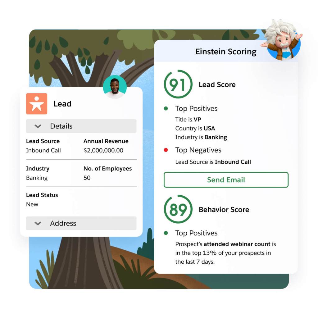 Einstein Scoring interface displaying a prospect's lead and behavioral scoring profile.