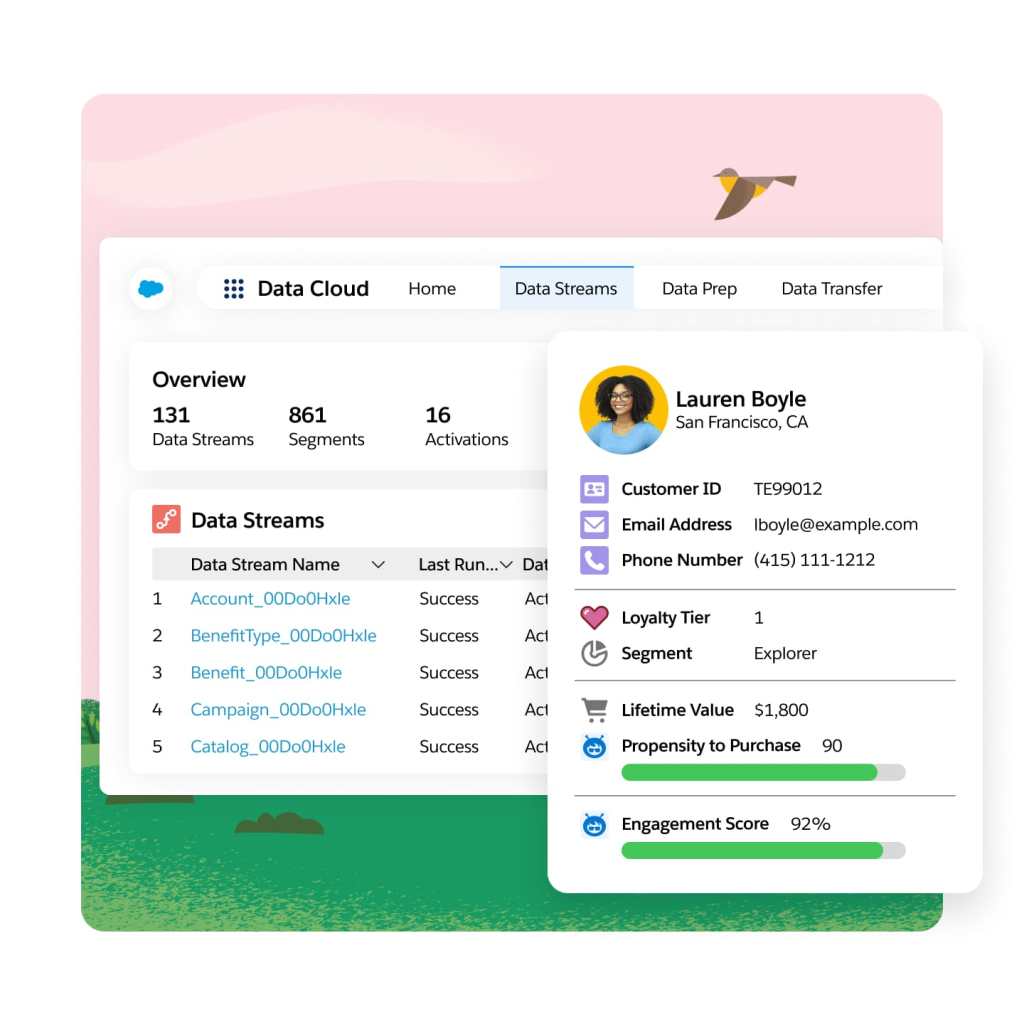 windows displaying customer data, activity and Einstein recommended next best actions