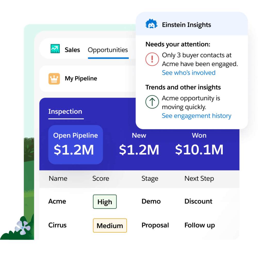 Einstein highlighting deal insights based on data.