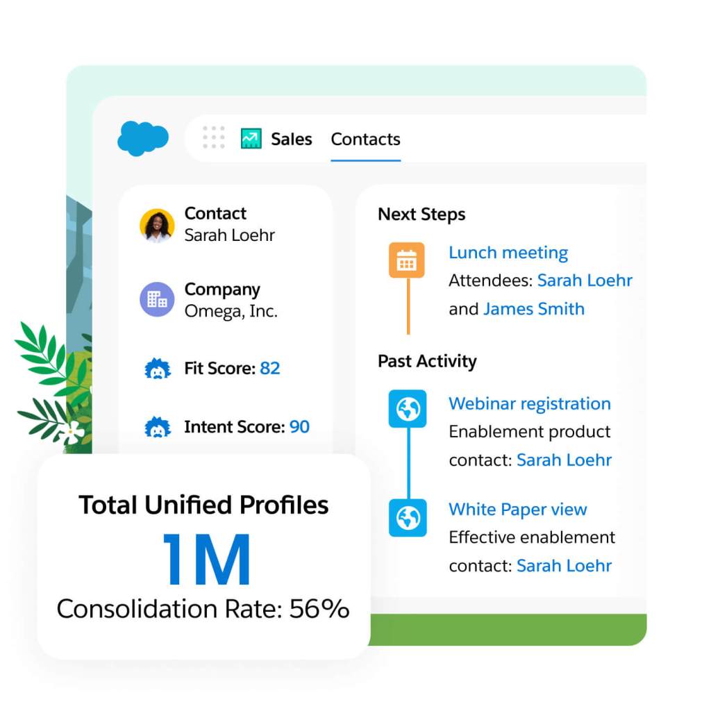 Singular unified view of data profiles.