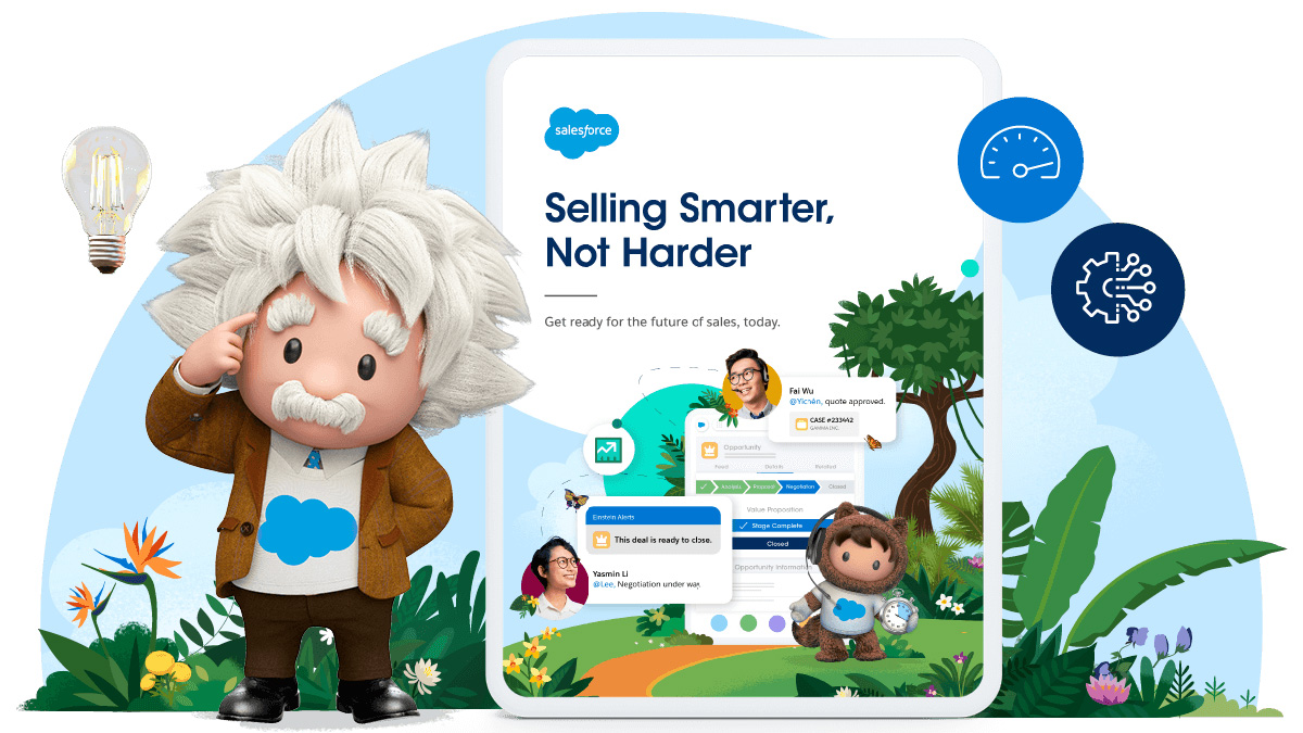 Sell Smarter, Not Harder e-book