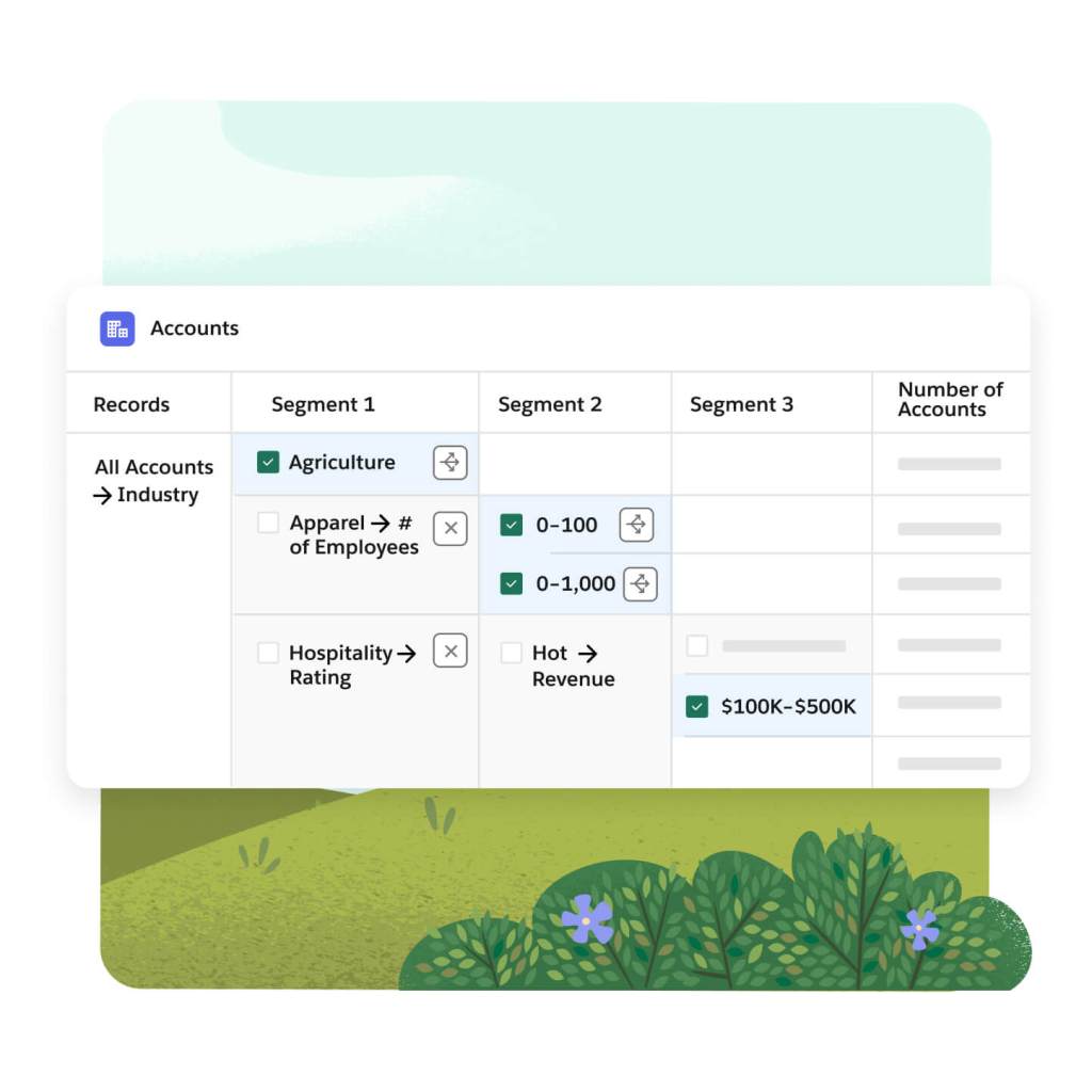 An accounts window shows records be segment and industry broken down by # of employees, rating, and hot revenue.