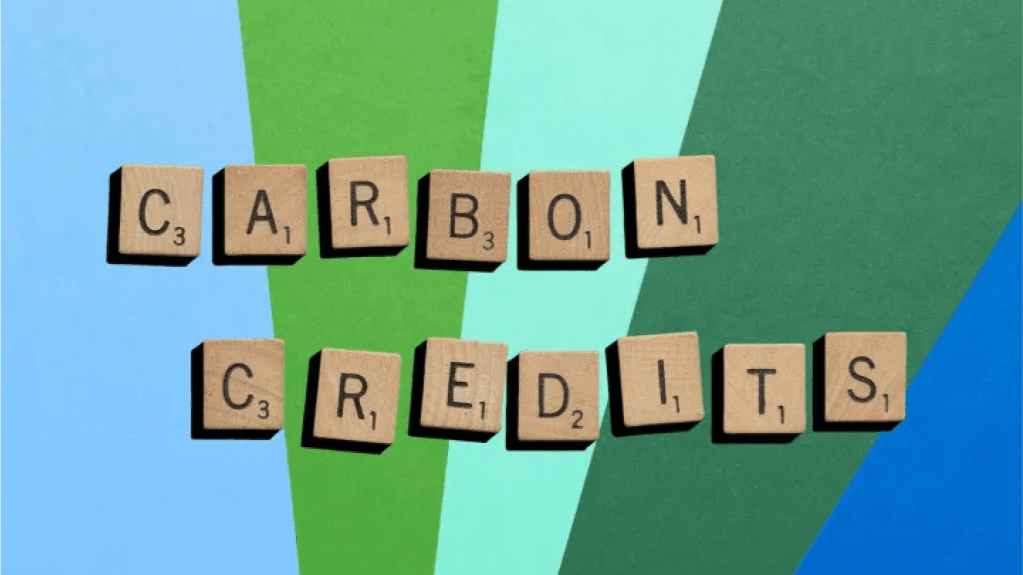 See why carbon credits are a great addition to your climate action plan.