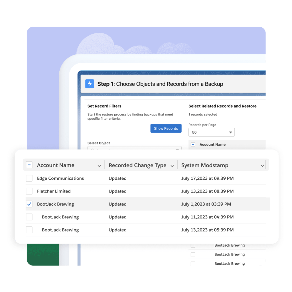 A page labelled: "Step 1: Choose Objects and Records from a Backup."