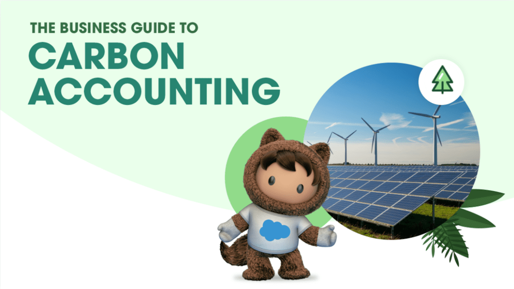 Carbon accounting guide