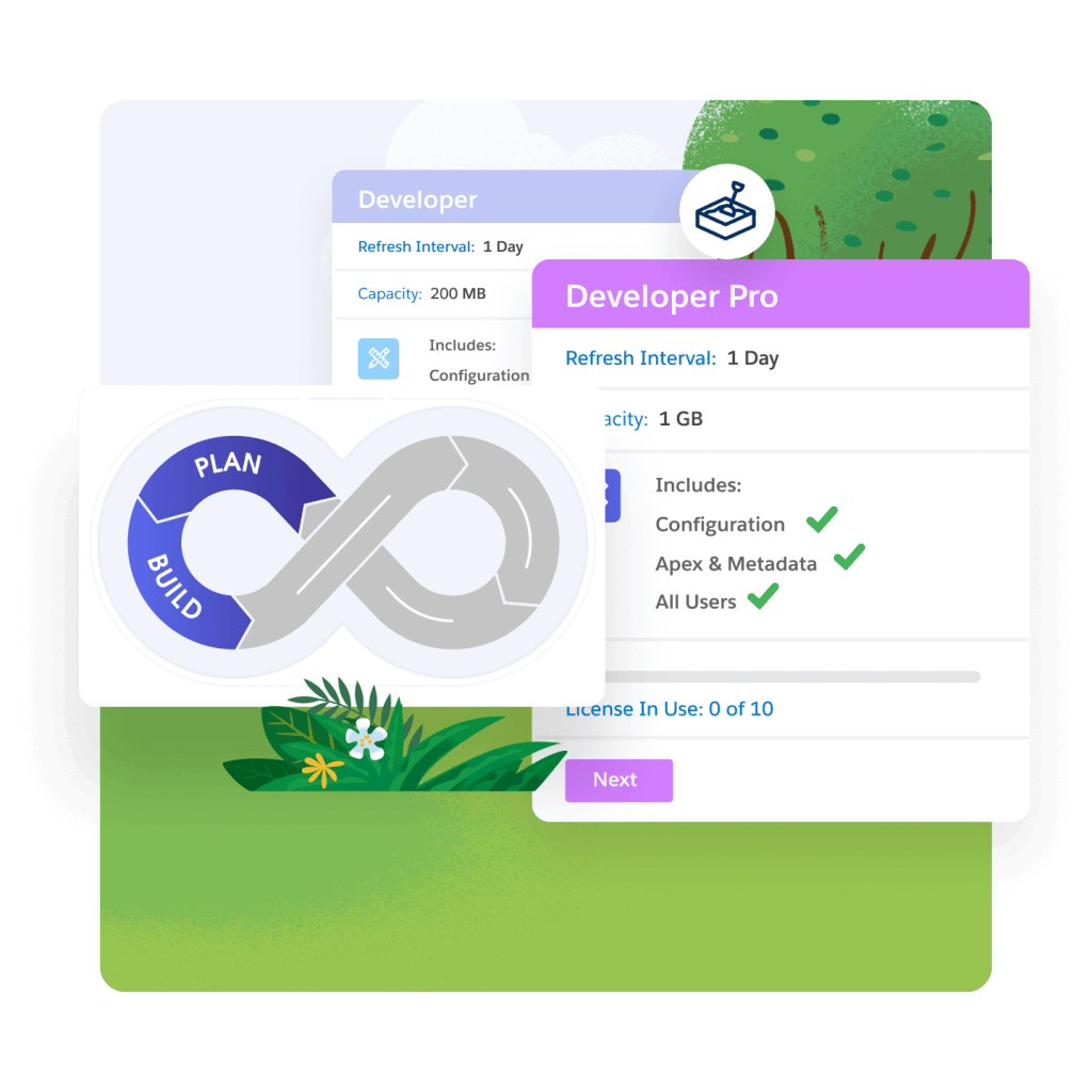 The Developer Pro page showing that it includes Configuration, Apex & Metadata and Alll Users. The planning and building stage is highlighted. A small bush with flowers and a tree in the background.
