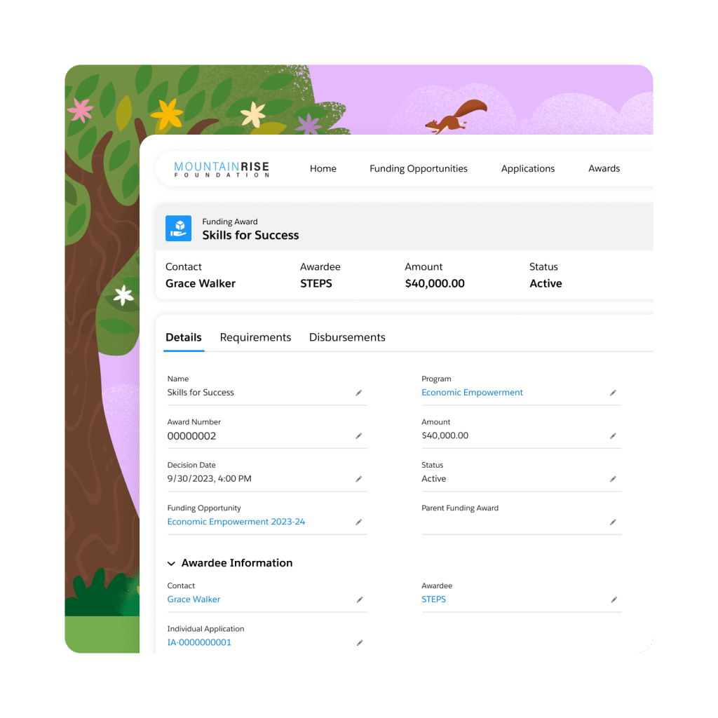 A dashboard for MountainRise foundation with details about Skills for Success.
