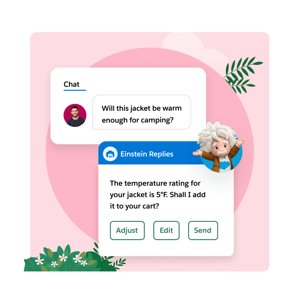 A chat window with Einstein answering a question about weather. 