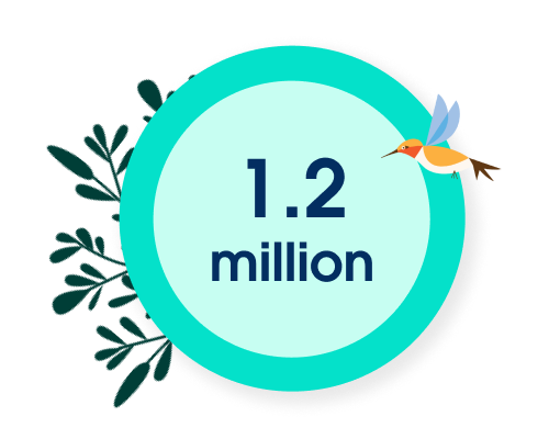 1.2 million FAQs browsed a month