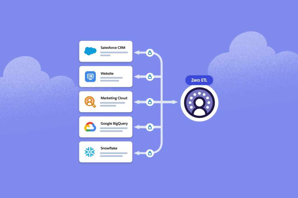 Salesforce CRM, Marketing Cloud, website, Google BigQuery, and Snowflake data representation
