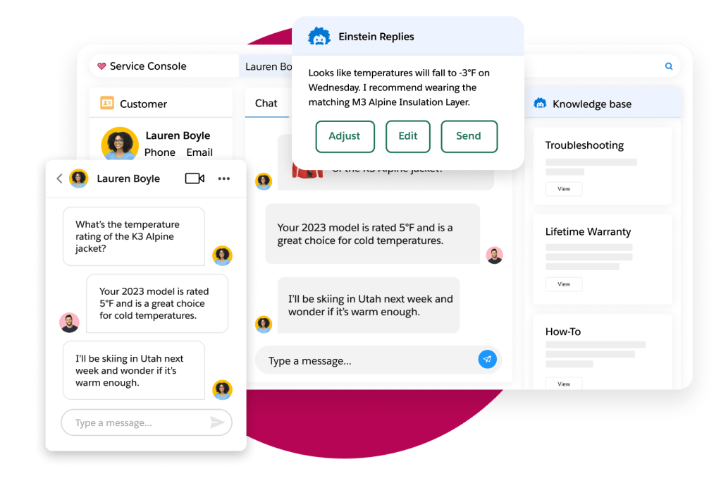 A customer's profile and interaction with an agent providing support