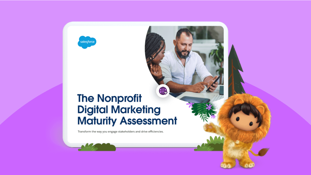 The Nonprofit Cloud Digital Marketing Maturity Assessment